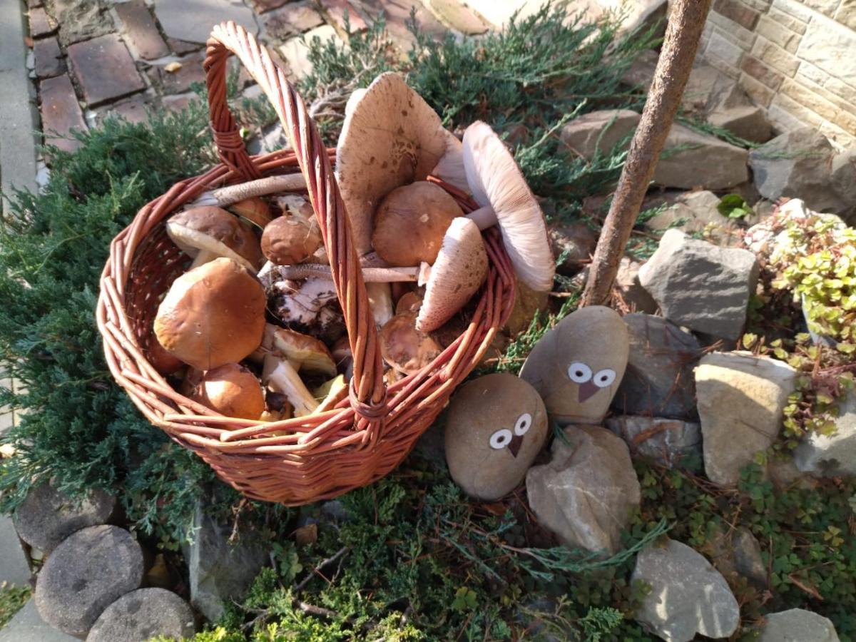 Gospodarstwo Agroturystyczne Borówkowy Bukiet Smaków Iwkowa Exterior foto