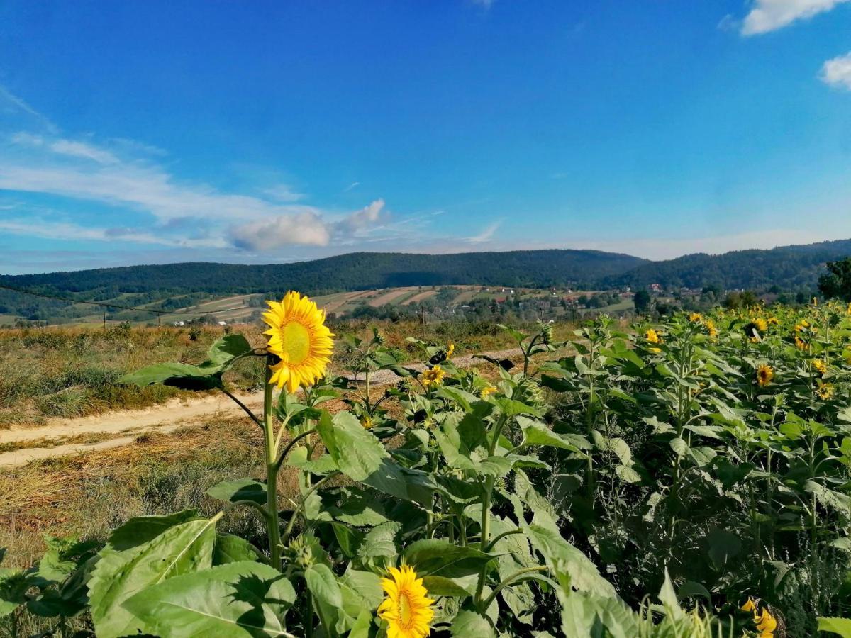 Gospodarstwo Agroturystyczne Borówkowy Bukiet Smaków Iwkowa Exterior foto