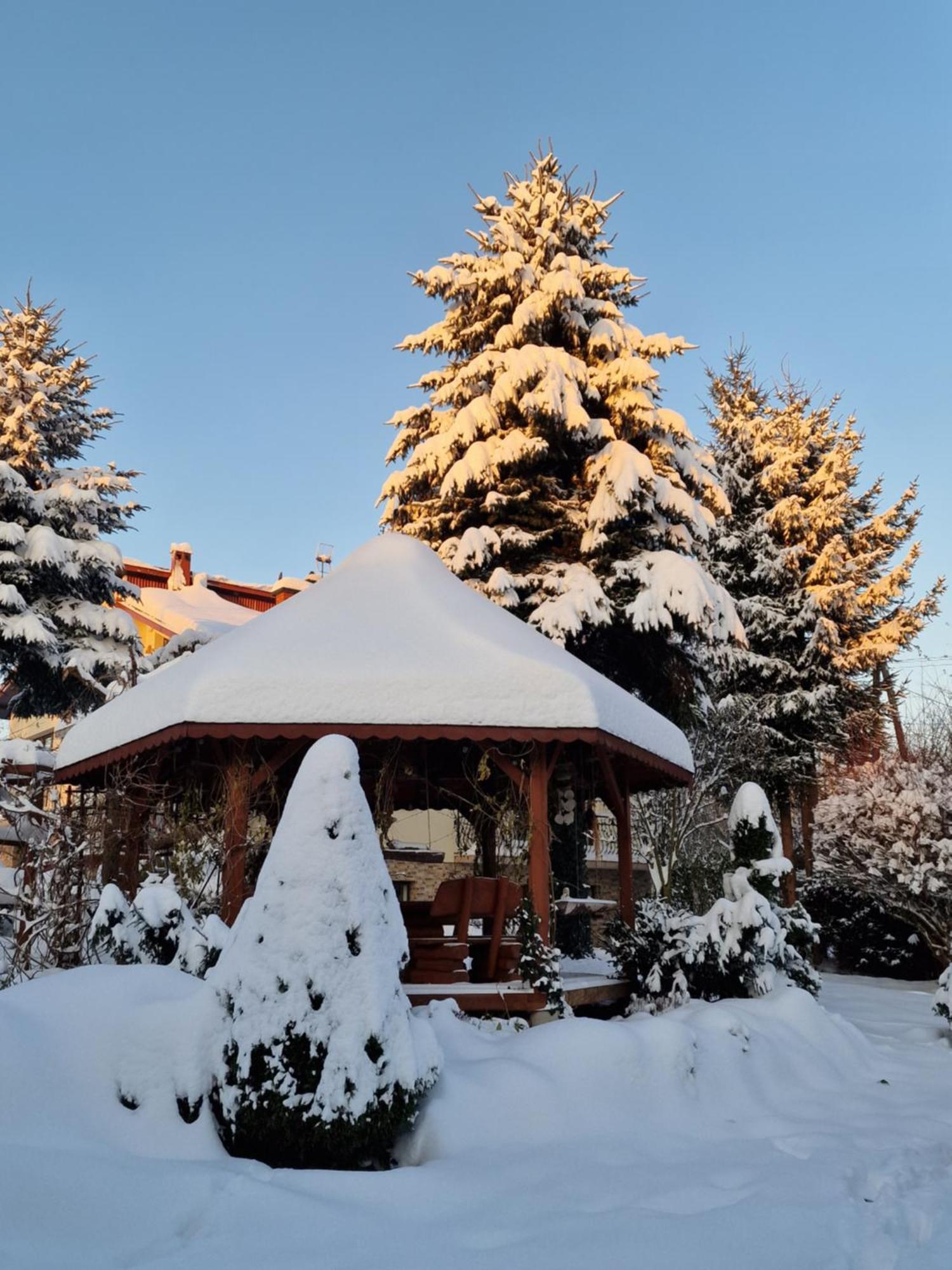 Gospodarstwo Agroturystyczne Borówkowy Bukiet Smaków Iwkowa Exterior foto