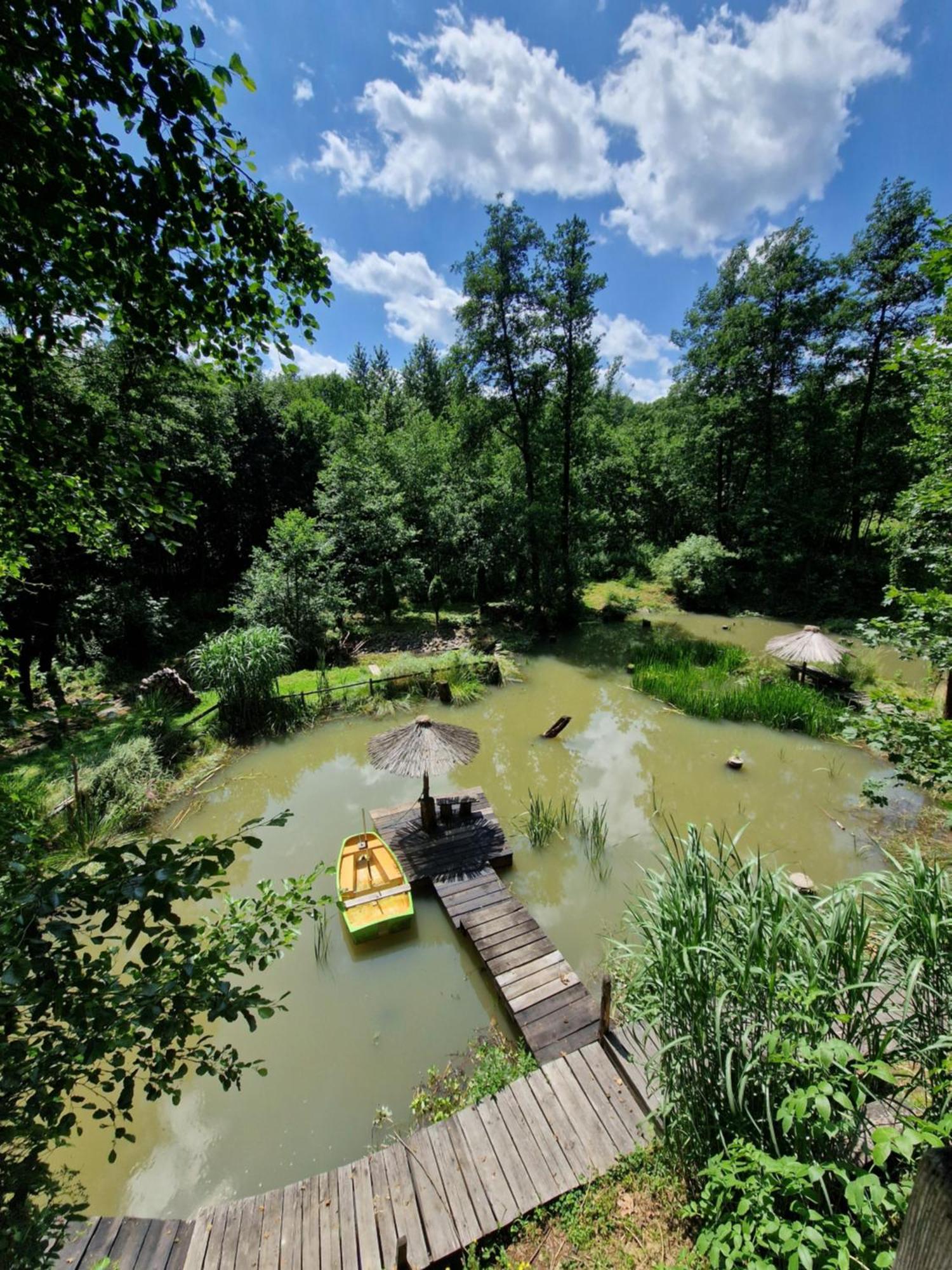 Gospodarstwo Agroturystyczne Borówkowy Bukiet Smaków Iwkowa Exterior foto