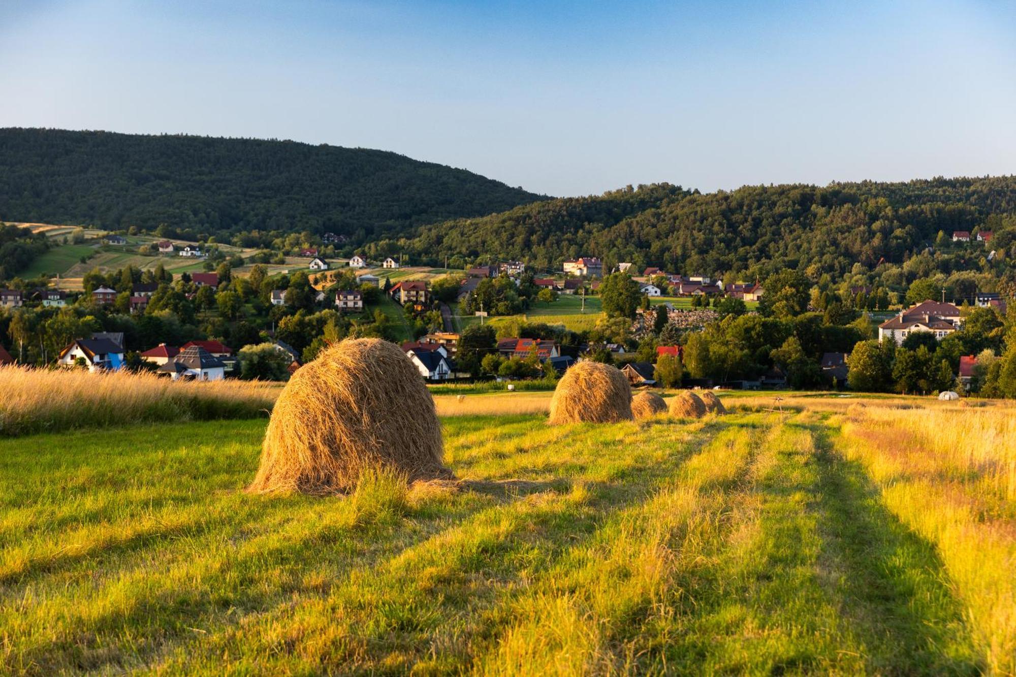 Gospodarstwo Agroturystyczne Borówkowy Bukiet Smaków Iwkowa Exterior foto